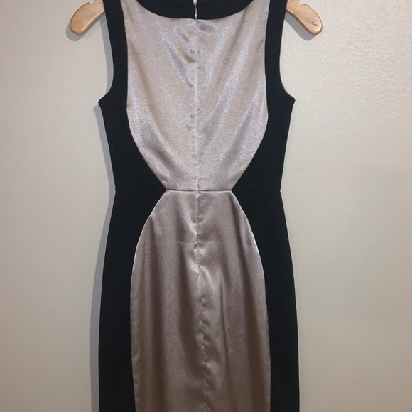 The Limited dress - Picture 2 of 2